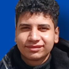 Freelancer Samaan Z. — Egipt, Kair. Specjalizacja — Projektowanie interfejsów użytkownika (UI/UX), C i C++