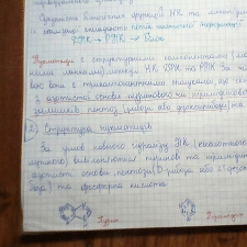 Фрилансер Александр Д. — Украина, Киев. Специализация — Javascript и Typescript, C и C++