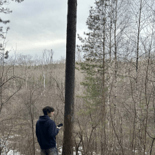 Freelancer Oleksandr Y. — Ukraine, Odessa. Core skill — Python, Bot Development
