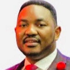 Freelancer Ijeoma N. — United States, Manassas. Core skill — AI & Machine Learning, Cybersecurity & Data Protection
