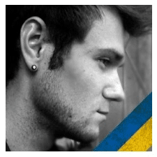 Zleceniodawca Denis S. — Ukraina.