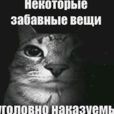 Сергій Кіселевич