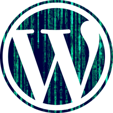 Фрилансер Антон К. — Украина, Киев. Специализация — Веб-программирование, Python