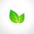 Green Software