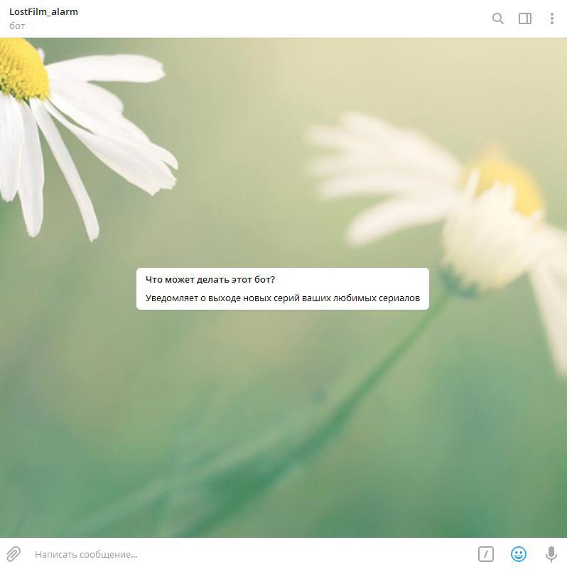 РАЗРАБОТКА САЙТА НА YII2 РАЗРАБОТКА САЙТА НА YII2