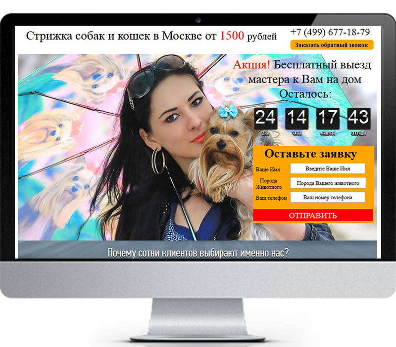 Лендинг пейдж 6000 симферополь Лендинг пейдж 6000 симферополь