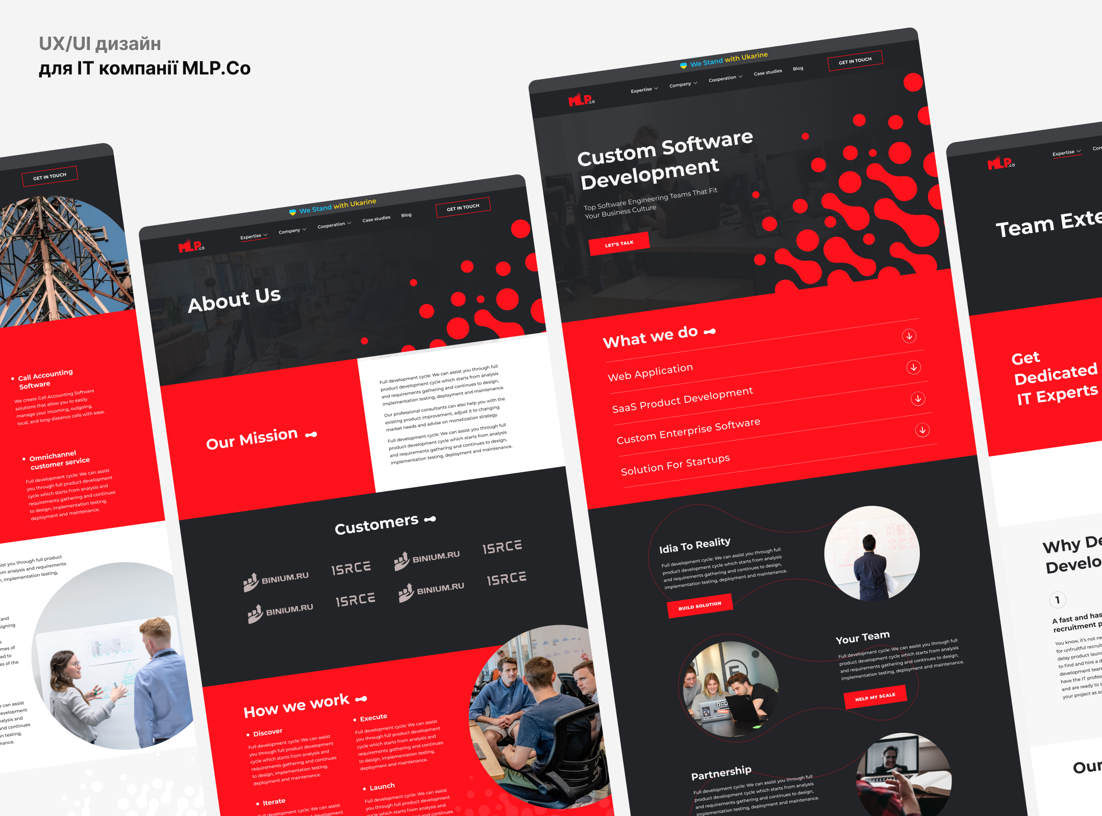 UX/UI design for MLP.Co IT – work from freelancer's portfolio Нонны ...