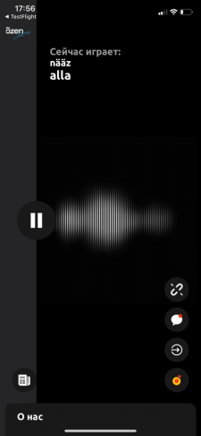 Õzen-radio