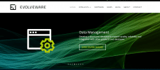 SEO аудит сайта Evolve Ware в Великобритани