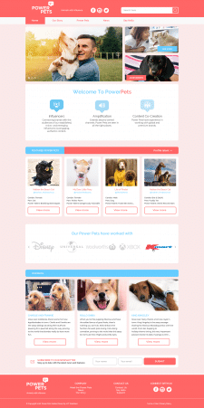 Дизайн посадочной страницы PowerPets