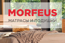 Wordpress morfeus.com.ua