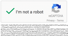 ReCaptcha V2