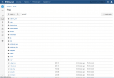 Перенос разработки магазина Magento на BitBucket