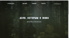 Мое портфолио