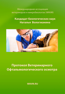 Создание обложки для книги