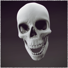 Skull