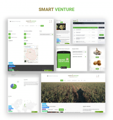 Corporate Website "Smart-Venture"
