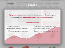 SEO-продвижение сайта "Tsegla"