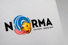 Логотип+персонаж NORMA