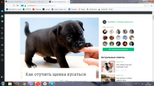 Как отучить щенка кусаться