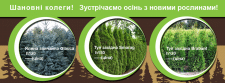 баннер