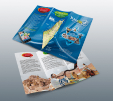 MyIsraWay / Trifold