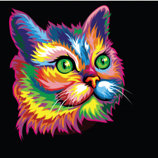 кот
