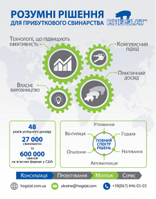 Инфографика, презентация HOG SLAT