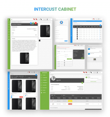Cabinet Of Dropshipping System "Intercust"