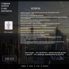 WEB-design for DS-expert