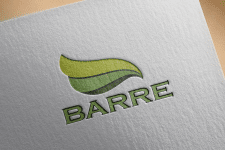 логотип натяжных потолков BARRE