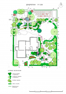 Дендроплан ландшафтного проекта