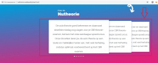NuTheorie (сайт автошколы в Голландии)
