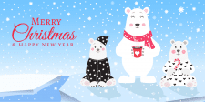 Иллюстрация для polarbearkids.com