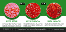 Флаер