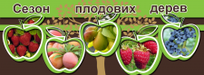 баннер
