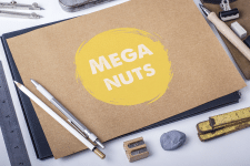 Логотип MegaNuts