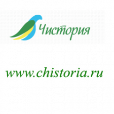 Название и домен клининговой компании