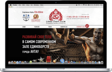 LionsFightClub