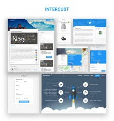 Dropshipping System "Intercust"