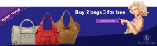 баннер для сайта "L handbags"