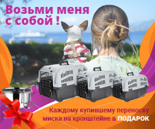 Баннер
