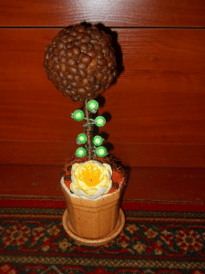 кофейное дерево